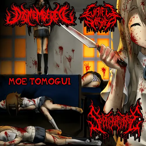 Waifu Smashed : Moe Tomogui